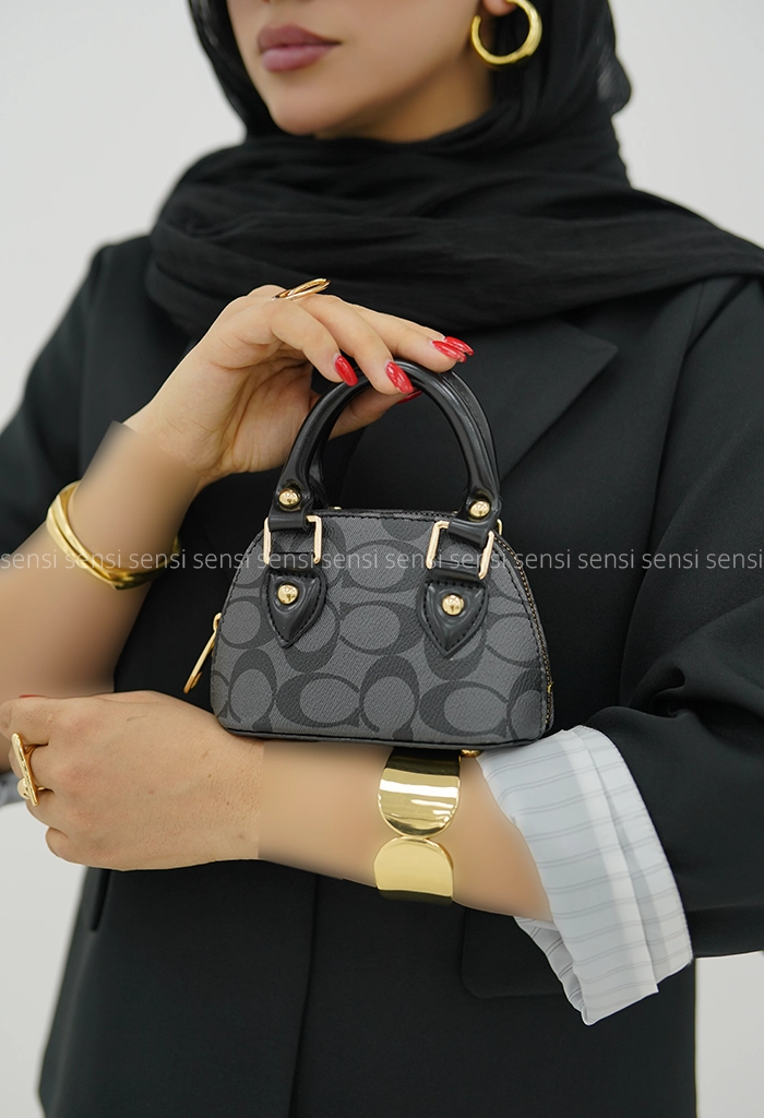 کیف مینی مارک دو دسته کد1005879